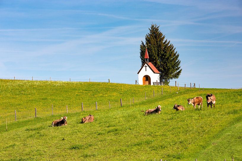 Fatima Chapel by Andreas Müller