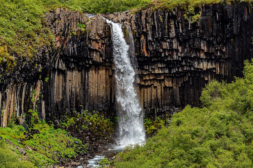 Svartifoss by Easycopters