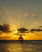 This beautiful morning meets its first boat and a flock of birds.