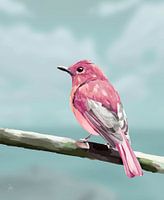 Bird looking out to sea