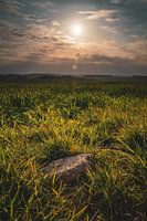 Der Stein am Wegesrand Hochformat
