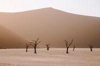 Die Toten im Sossusvlei Nationalpark, Namibia