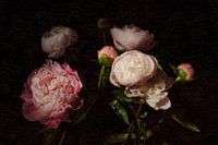 Peonies