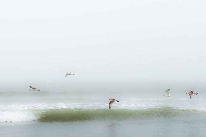 Oiseaux au-dessus de la plage par Eddy Westdijk