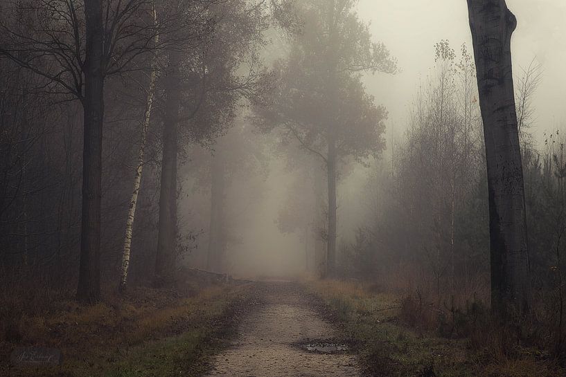 Op een mistige morgen van Jos Erkamp