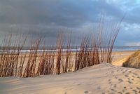 on the North Sea coast