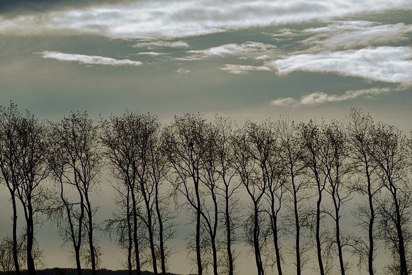 Der Abend bricht mit einem schönen Himmel über Zeeland herein von Gert van Santen