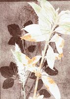 Travail botanique sur fond brun