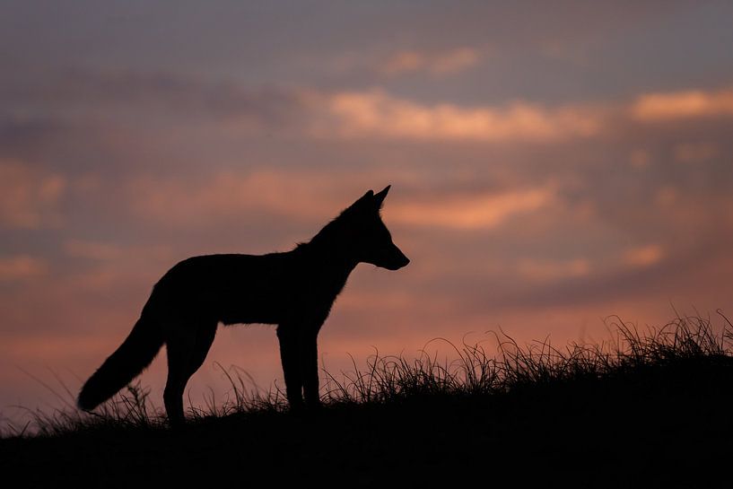 zonsondergang par Pim Leijen