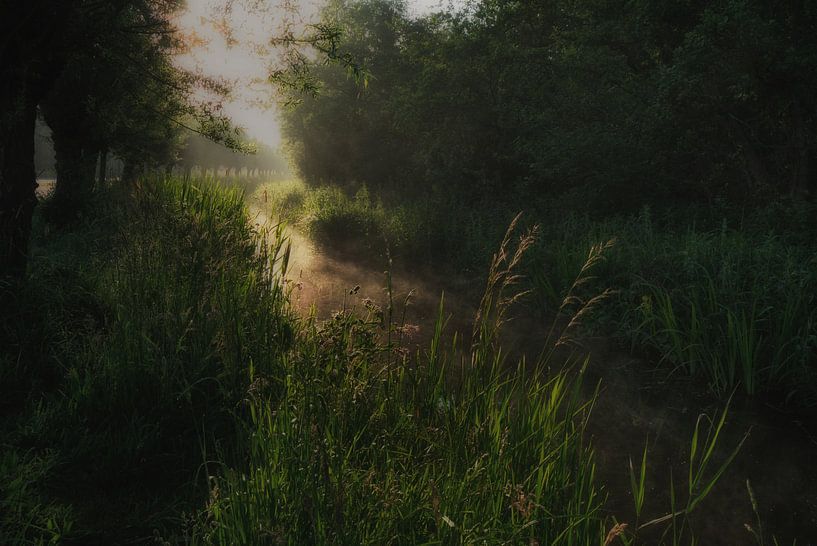 Slootkant von Hans Heemsbergen