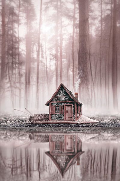 Robust Old House on a Snail: Enchanting Image Manipulation of Nature and Architecture by Elianne van Turennout