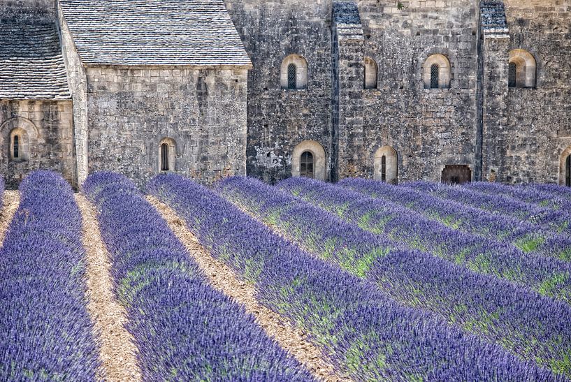 Kloster-Lavendel par Joachim G. Pinkawa
