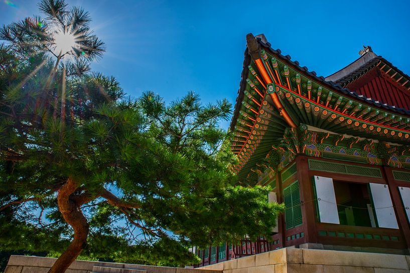 &quot;Verblijf&quot; in Zuid Koreaans paleis von Kaj Hendriks