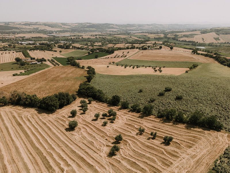 Hills of The Marches | Italy | Drone by Roanna Fotografie