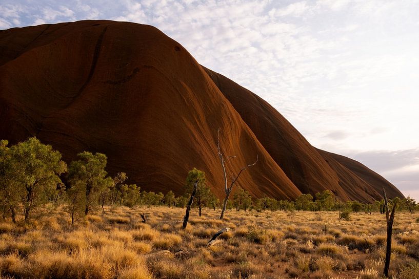 Rocher d'Uluru en Australie par Helene van Rijn