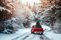 Weihnachtsbaum Fahrt