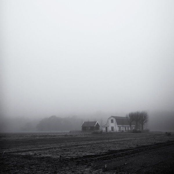 Ferme dans la brume, Heemskerk par Paul Beentjes