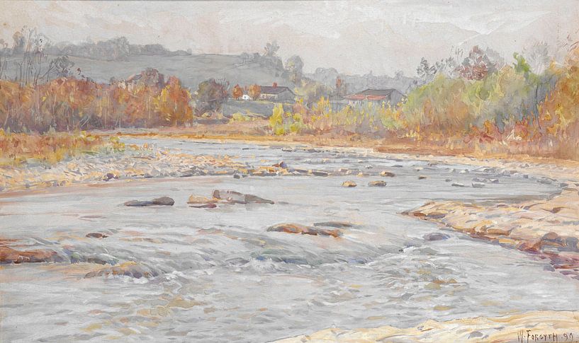 William Forsyth-white Rapids by finemasterpiece