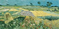 La plaine d'Auvers, Vincent van Gogh