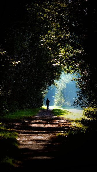 Waldweg von Jan van der Knaap