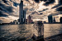 Kop van Zuid à Rotterdam