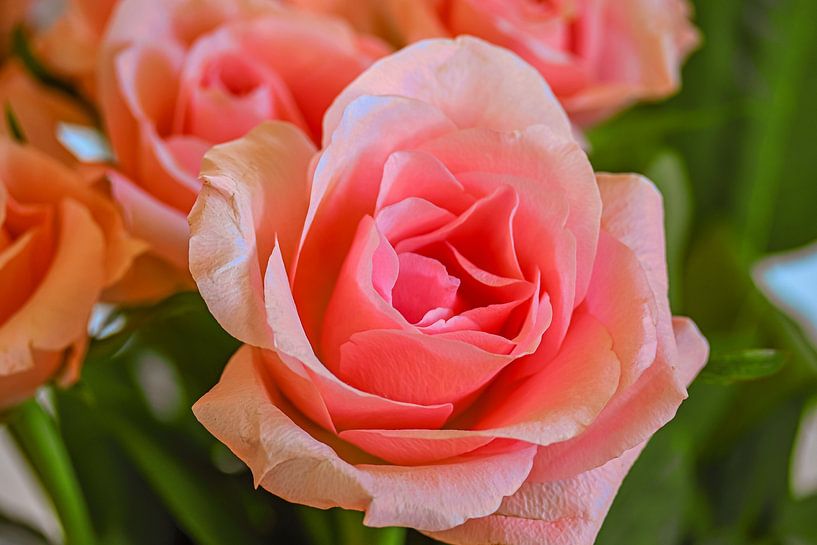 Amour des roses par Photoart-Naegele