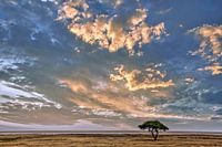 Nuages au-dessus du parc national d'Etosha, Namibie