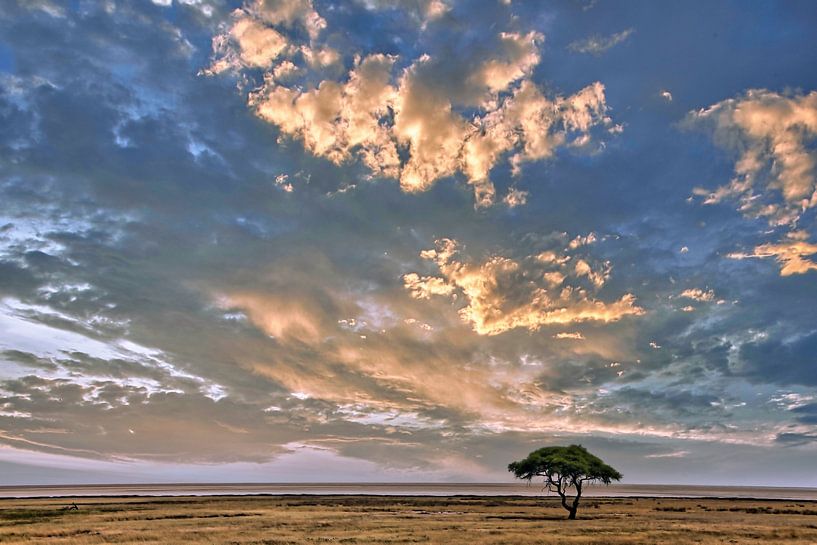 Nuages au-dessus du parc national d'Etosha, Namibie par WiWo