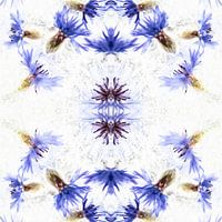 Gefrorene Kornblumenspinne