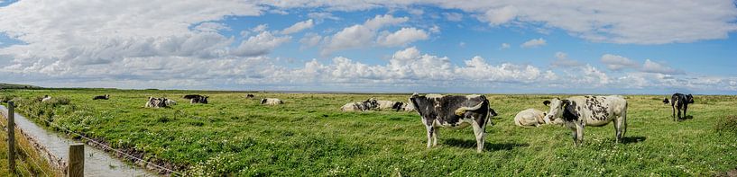 Panorama met uitzicht op koeien von Tieme Snijders