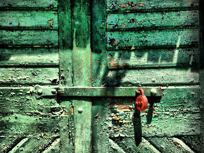 Türdetail by Ilona Picha-Höberth