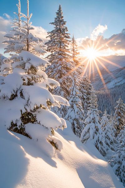 Winterzauber Sonnenaufgang von Poster Art Shop