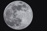 Sehen Sie den Mond scheinen...