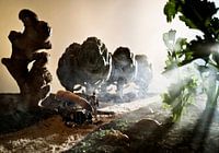 Landschaft aus Essen