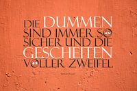 Dumme  |   Gescheite