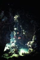 Nature morte sous l'eau