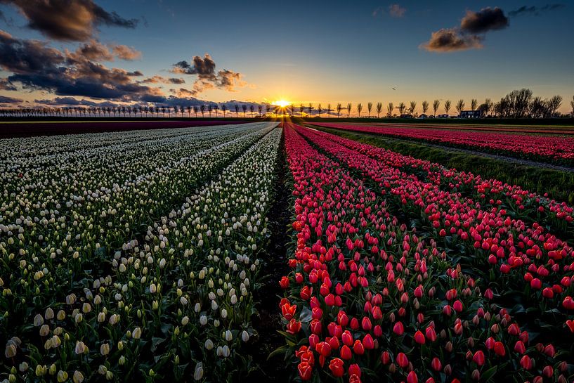 2 colors sunset by peterheinspictures