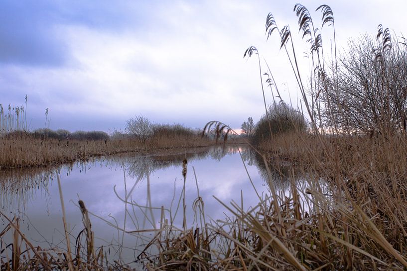Winter in Friesland von Jelte Bosma
