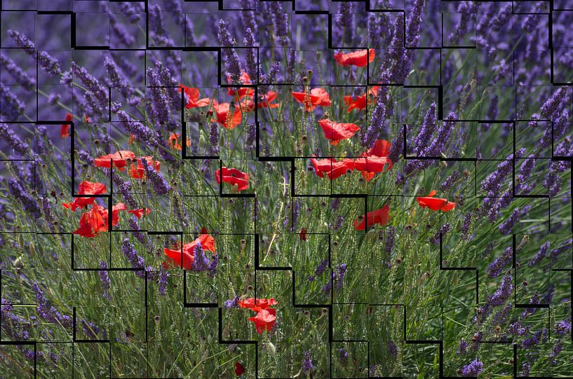 Cohabitation by Georges Rudolph