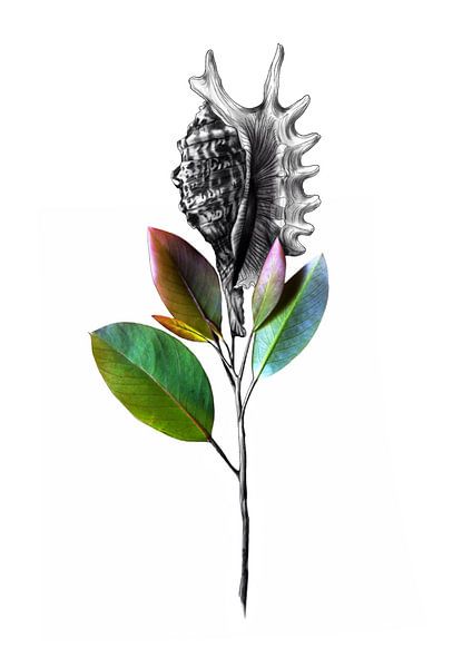 Perfektion von Oleg Soul Art Gallery