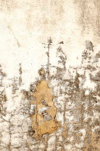 Wandkunst von Truus Nijland