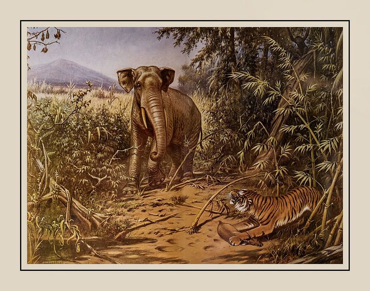 Plaque d'école A.M. Koekkoek - &quot;Dans le Rimboe&quot; par Anita Meis