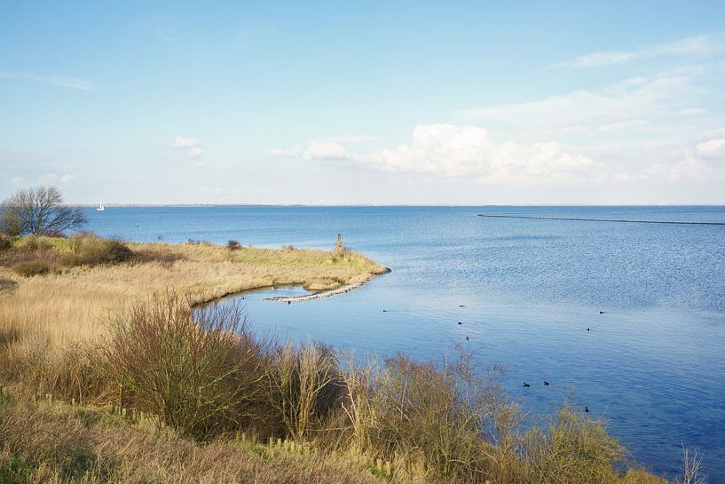 Natuurgebied de Grevelingen by Alice Berkien-van Mil