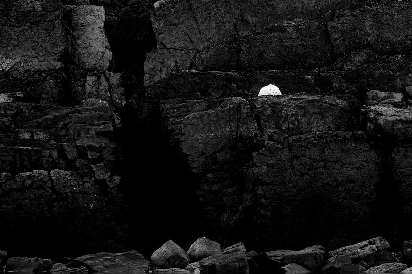 Ich beobachte dich von Richard van der Hoek