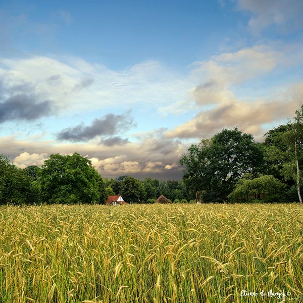 Bokrijk by etienne de maeyer