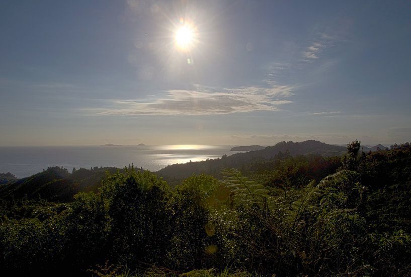 Blick von Tairua, Neuseeland von Bart van Wijk Grobben
