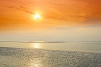 Les vasières brillantes de la mer du Nord