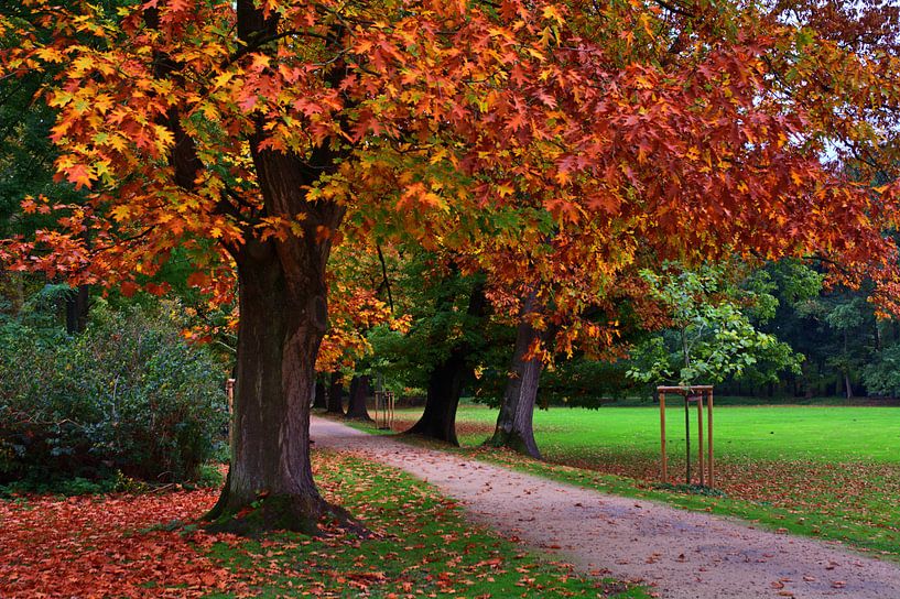 Herbst im Schlosspark von Edgar Schermaul