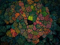 Herbstliche Farbpalette