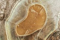 Résumé de Nature #7 brun